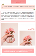 <b>【領(lǐng)威安?！恐戮醋顐ゴ蟮哪赣H</b>