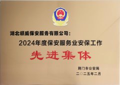 喜報(bào)！領(lǐng)威保安榮獲“2024年度保安服務(wù)業(yè)安保工